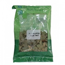 Eucalipto hoja