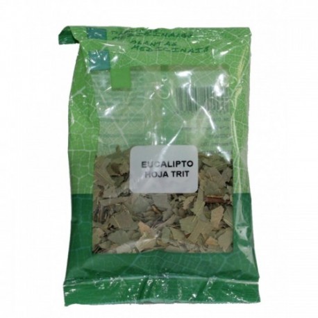 Eucalipto hoja