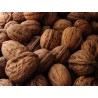 Nueces