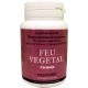 Feu vegetal carqueja