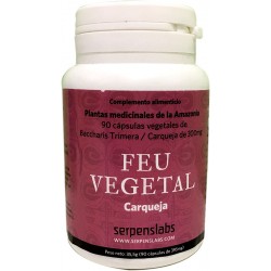 Feu vegetal carqueja