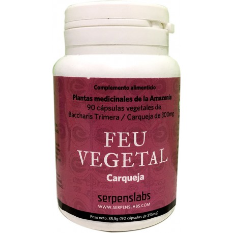 Feu vegetal carqueja
