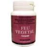 Feu vegetal carqueja