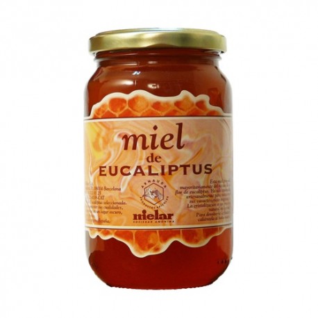 Miel eucalipto
