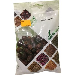 Escaramujo