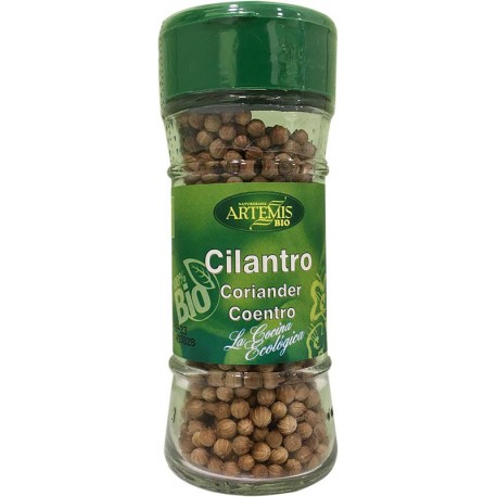 Cilantro
