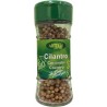 Cilantro