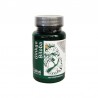 Ginkgo Biloba