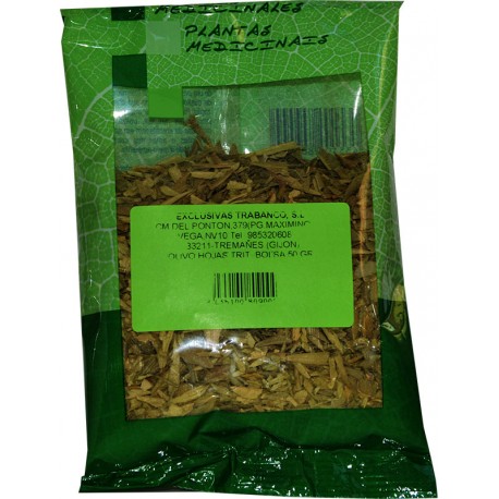 Olivo hojas