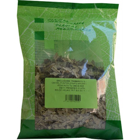 Boldo hoja